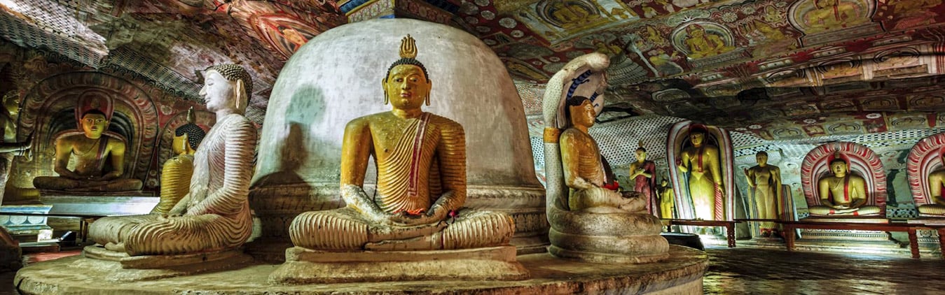 Sri Lankan Spice Tour