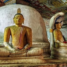 Sri Lankan Spice Tour