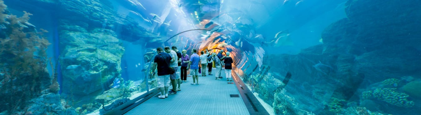 Dubai Aquarium & Underwater Zoo
