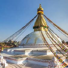 India Nepal Wildlife Tour