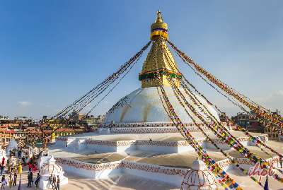 India Nepal Wildlife Tour