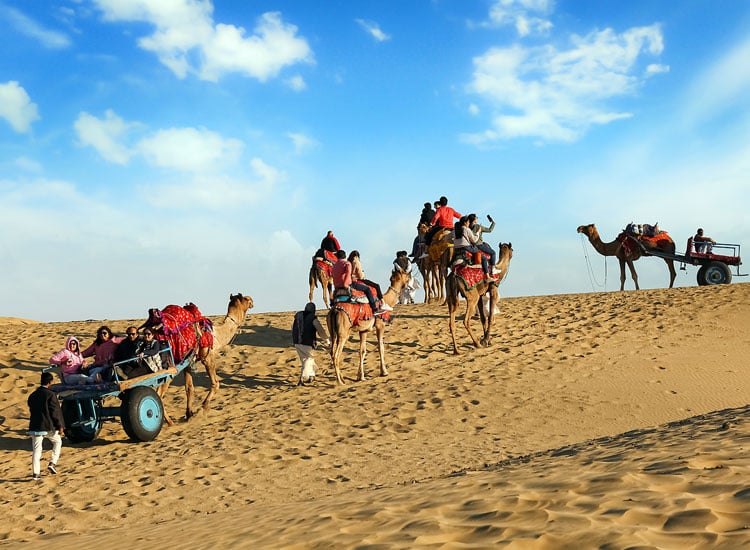 Jaisalmer’s Desert Wonders: The Ultimate Safari Adventure You Didn’t Know You Needed
