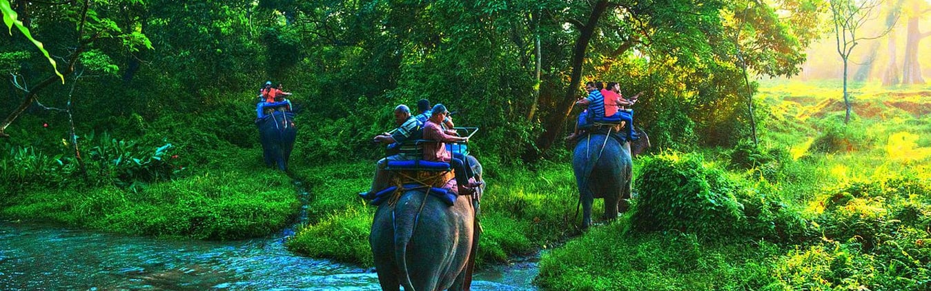4 Days Dooars Tour Package