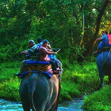 4 Days Dooars Tour Package