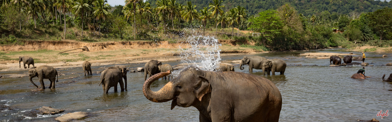 4 Days Gems of Sri Lanka Tour