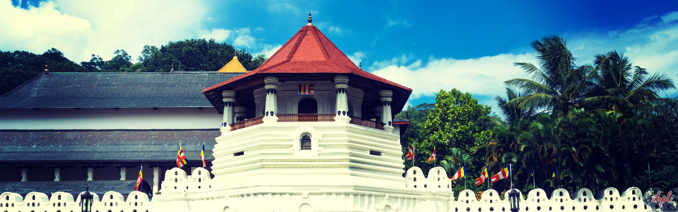 6 Days Wonders of Sri Lanka Tour