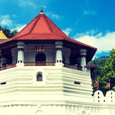 6 Days Wonders of Sri Lanka Tour