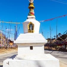 14 Days Bhutan Bird Watching Tour