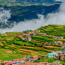 Blue Mountain with Karnataka