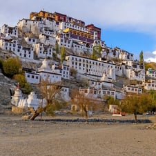 Glamping in Ladakh