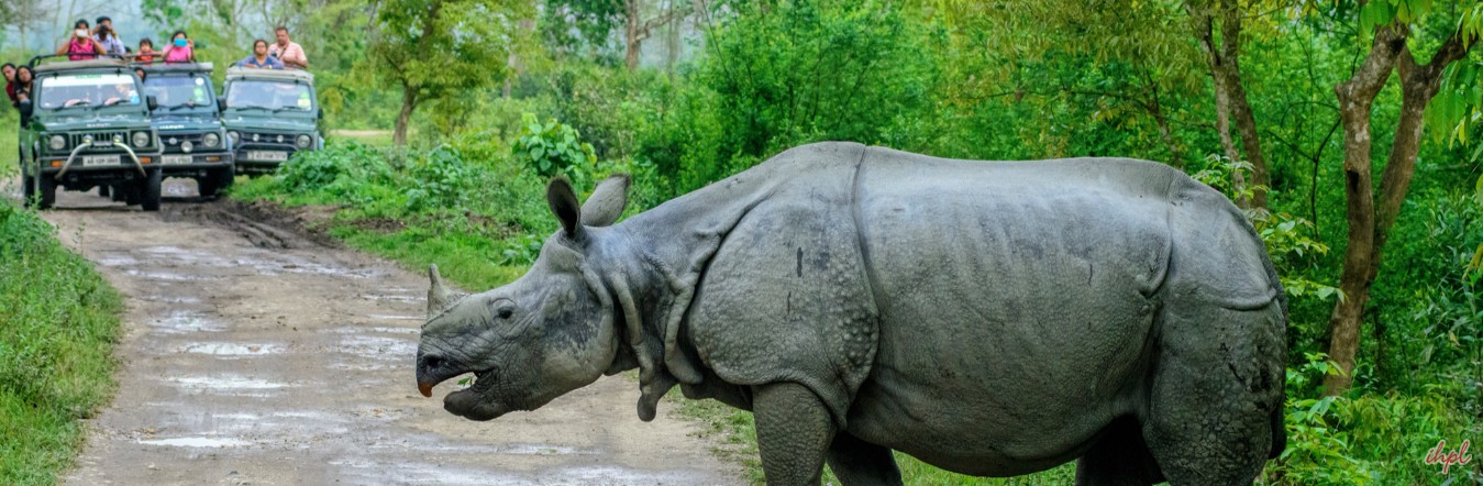 East India Wildlife Tour – 14 Days / 13 Nights Nature & Wildlife Expedition