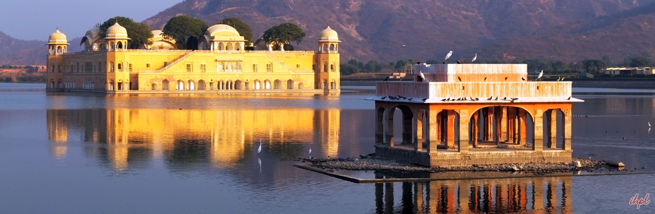 Golden Triangle Tour with Elephant Festival
