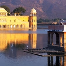 Golden Triangle Tour with Elephant Festival