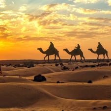 Rajasthan Tour with Golden Triangle
