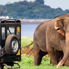 Sri Lanka Tour From Colombo