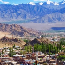 Diversity of Ladakh