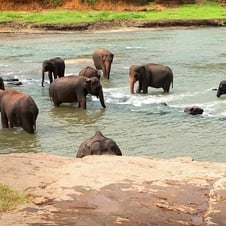 Grand Sri Lanka Tour