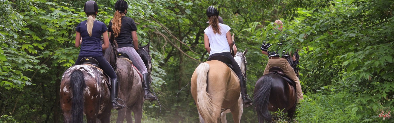 Horse Safari in India