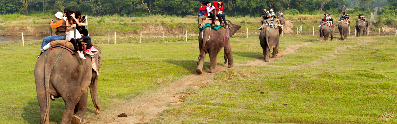 India Nepal Wildlife Tour