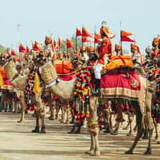5 Nights / 6 Days Jaisalmer Desert Festival Tour