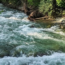Kashmir Fishing Tour