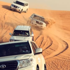 Magical Parks of Dubai