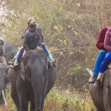 Majestic India Tour
