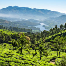 Munnar and Alleppey Tour