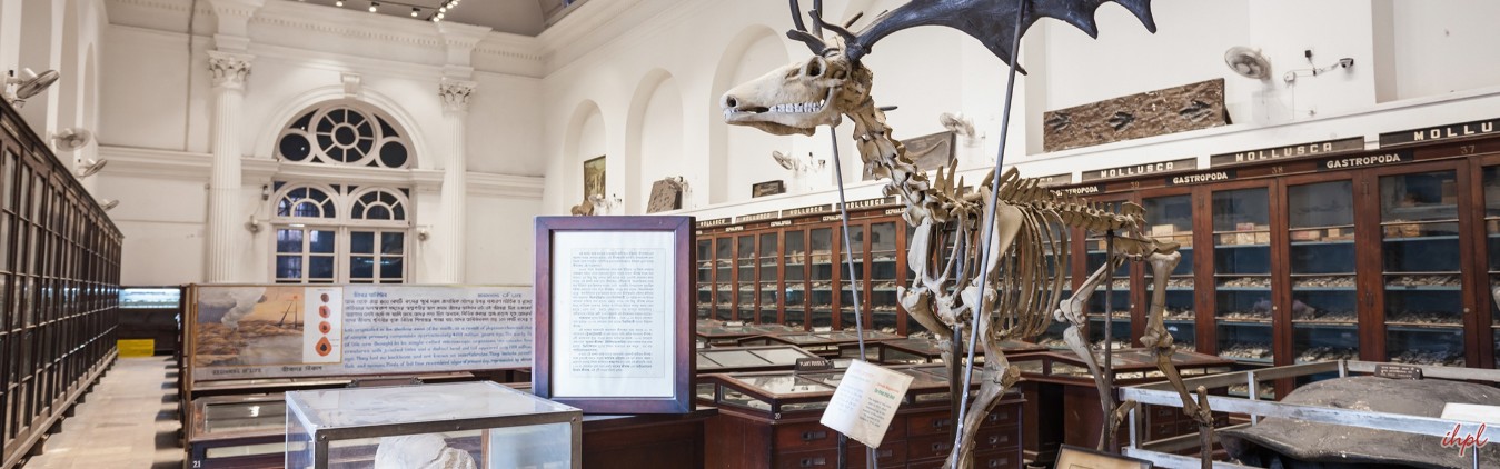 India Museum Tour