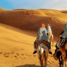 16 Days North India Tour with Mumbai and Gujarat