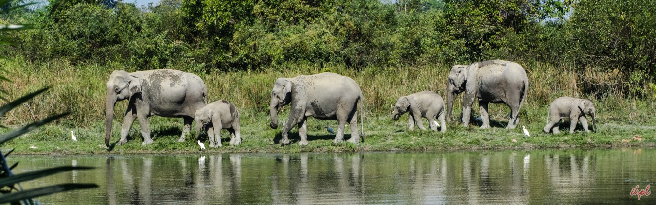 North East Wildlife Tour