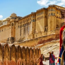 North India Tour
