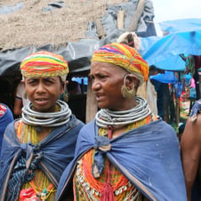Tribes Tour Orissa