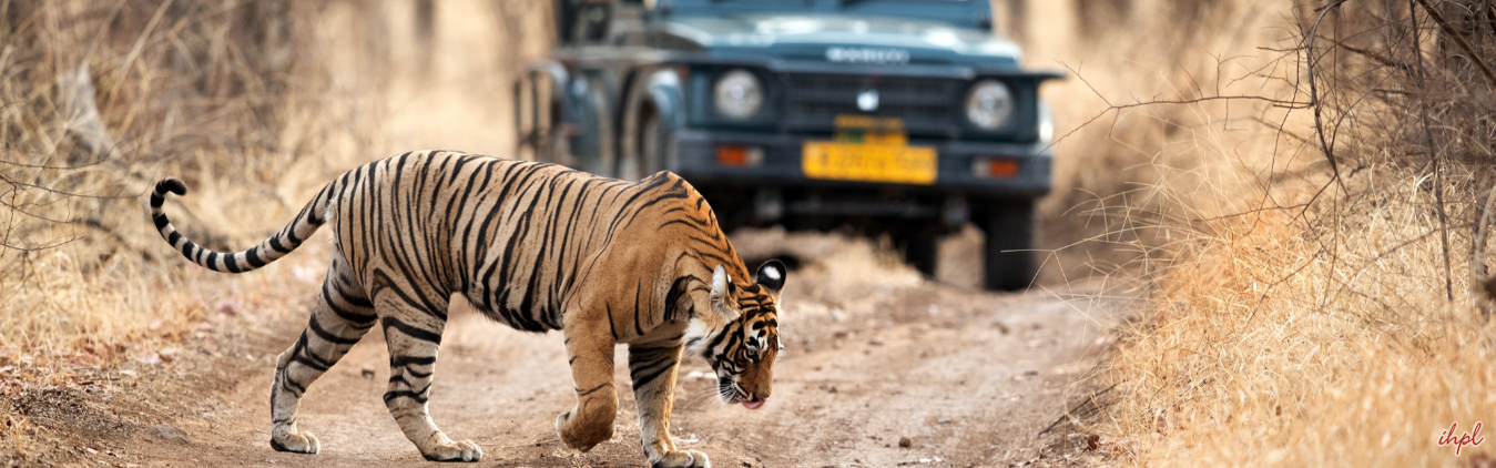 Wildlife with Maharashtra Tour