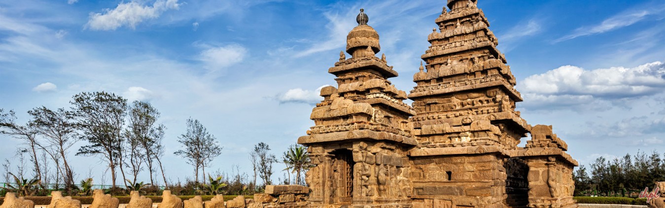Rejuvenation and Meditation Tour
