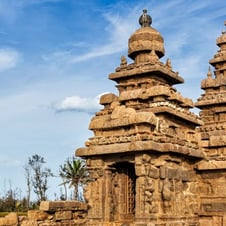 Rejuvenation and Meditation Tour