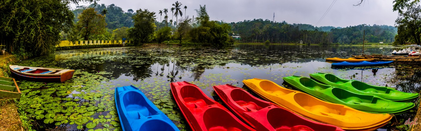 Short Tour of Wayanad