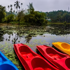 Short Tour of Wayanad