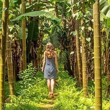 Spices and Sandalwood Tour