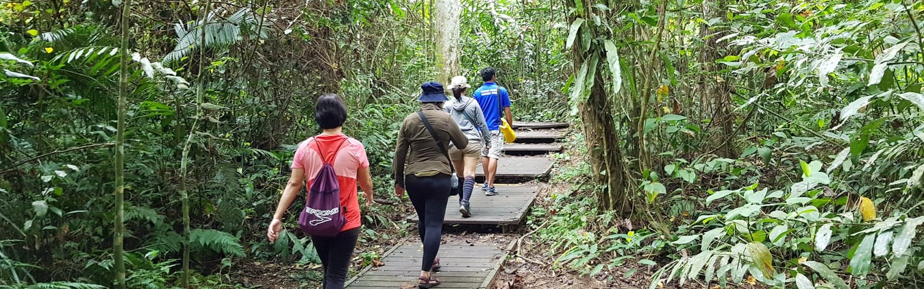 Taman Negara National Park Package