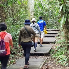 Taman Negara National Park Package