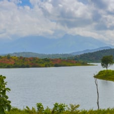 Wonderful Wayanad Tour