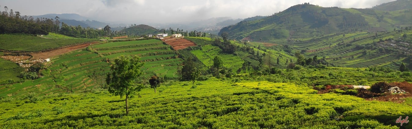 Mysore Ooty Kodaikanal Tour