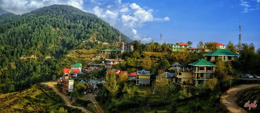 Mashobra Travel Guide