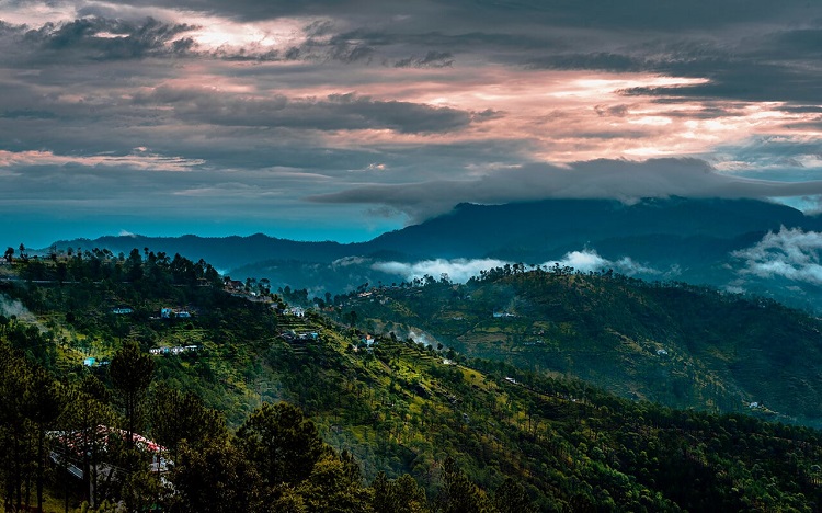 Best Places to Visit Near Delhi for 2 days Trip|Sultanpur Bird Sanctuary|Mussoorie: Touch the new height of adventure