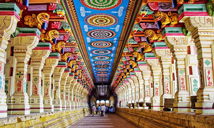 3-days-trip-to-chennai|bangalore|Hogenakkal-Waterfall|Thanjavur|Coimbatore|Bheemeshwari|yelagiri|Auroville|Machilipatnam|Coonoor