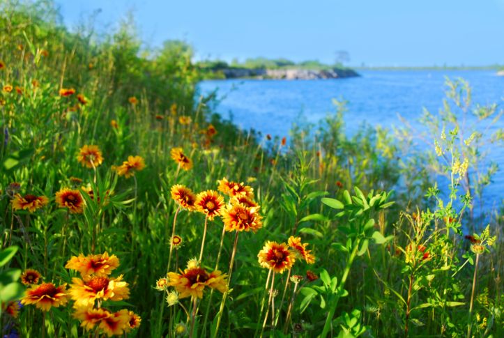 A Journey to most popular Spring Destinations in India - India Travel Blog