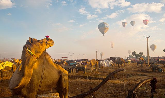Pushkar Camel Fair – Of regional festivity and fiesta!