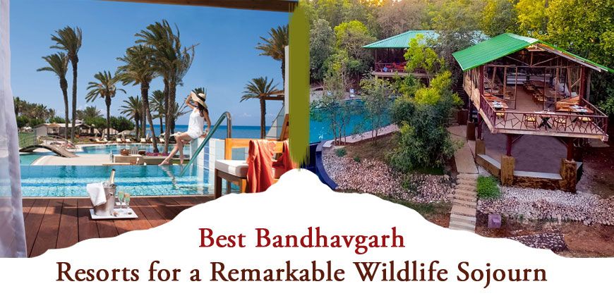 Best-Bandhavgarh-Resorts|Bagh-Sarai-Resort|Bandhavgarh-Meadows|Bandhav-Vilas|Greenwoods-Resorts|Infinity-Bandhavgarh-Resort|Jungle-Inn|Kings-Lodge|Maharaja-Royal-Retreat|Mahua-Kothi|Mogli-Jungle-Resort|Nature-Heritage-Resorts|Syna-Tiger-Resort|Tiger-Trails-Resorts|Tree-House-Hideaway-Resort