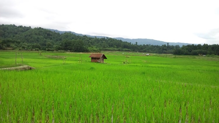 Best Places to Visit in Arunachal Pradesh in March|Bomdila|View of Aalo Town|Dibang Valley